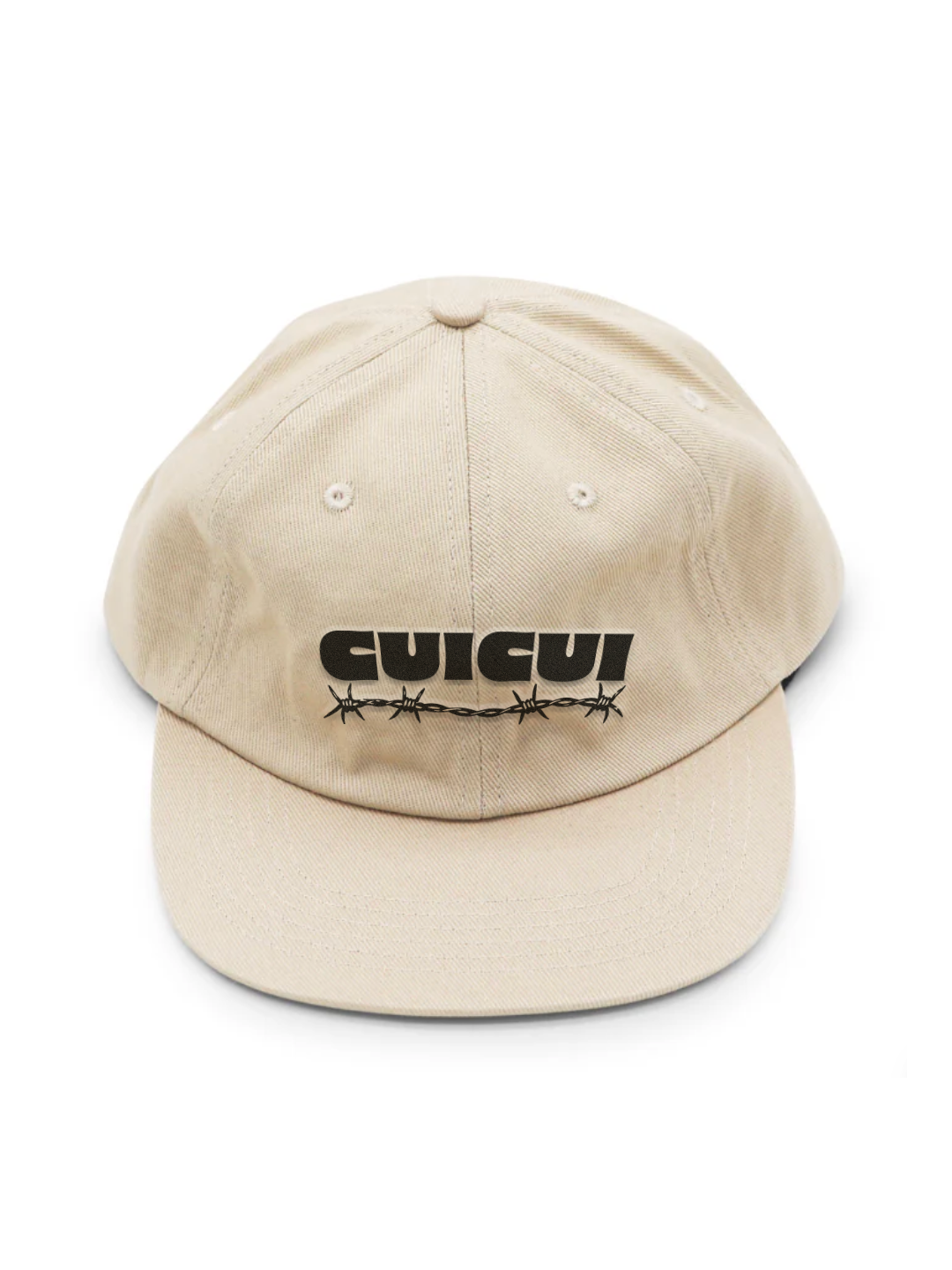 6 Panel Low cap